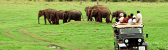 National Parks in Sri Lanka