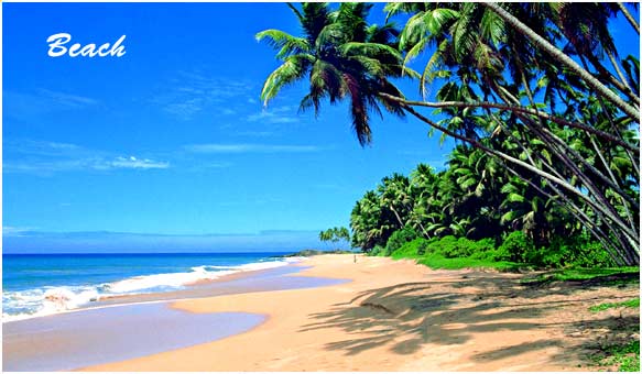 Sri Lanka Tourism